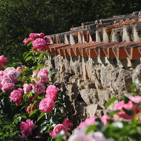 Landhaus Maison Renovee Avec Piscine Et Grand Jardin, A 2 Km De La Vallee De L'yon Le Tablier